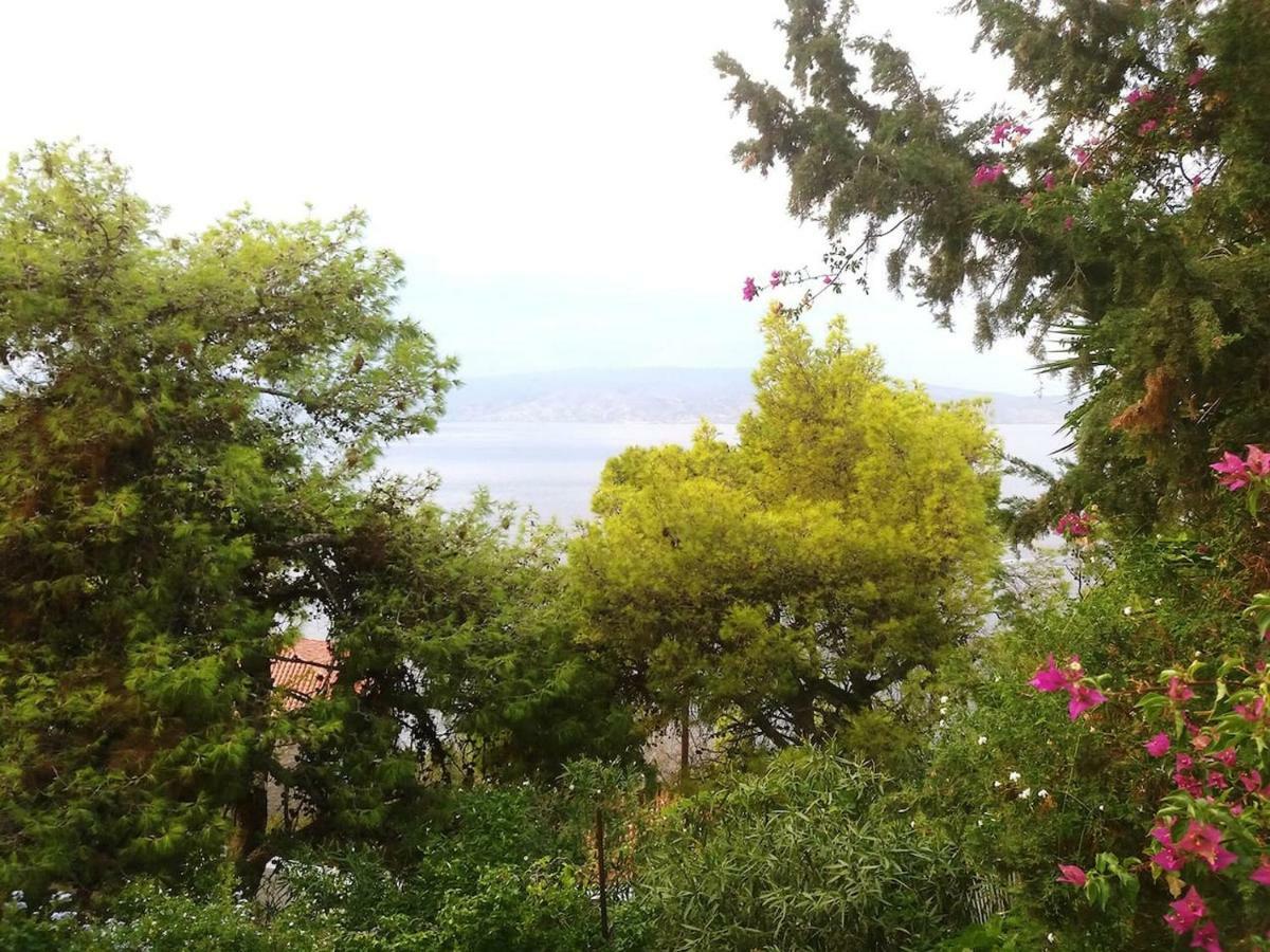 Pine Trees And Sea View Houses In Hydra - Daphne, Chloe, Myrto, Eleni Exterior foto